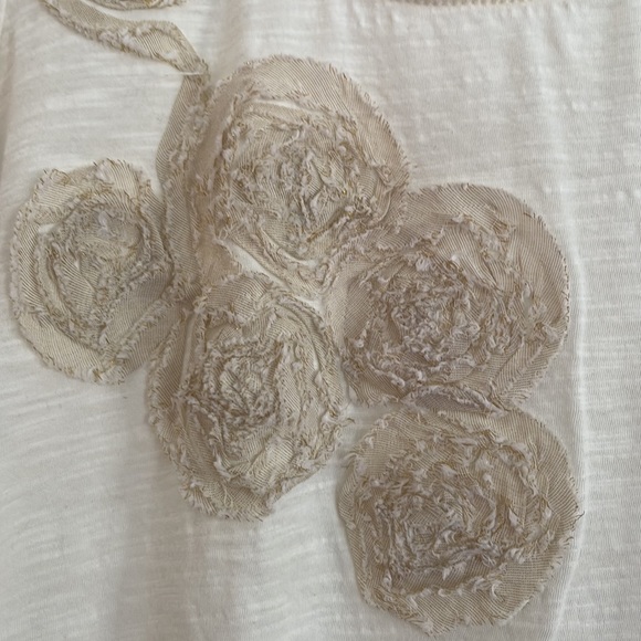 ANN TAYLOR LOFT short sleeve T-Shirt cream Size SP - Picture 2 of 13